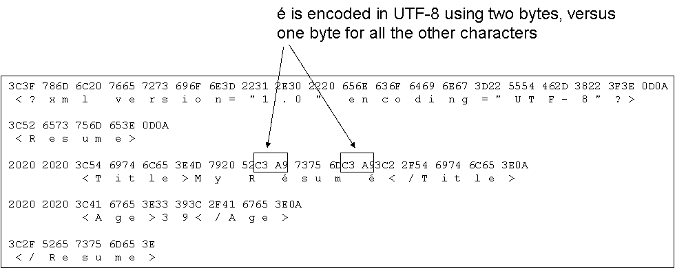 Hex values of the XML document