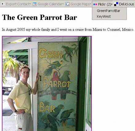 Green Parrot Bar